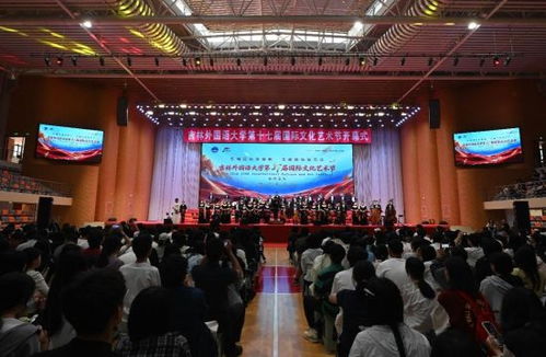 吉林外国语大学第十七届国际文化艺术节 跨文化交融，共襄艺术盛典